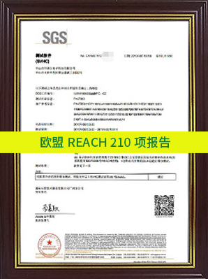 歐盟REACH-210項報告